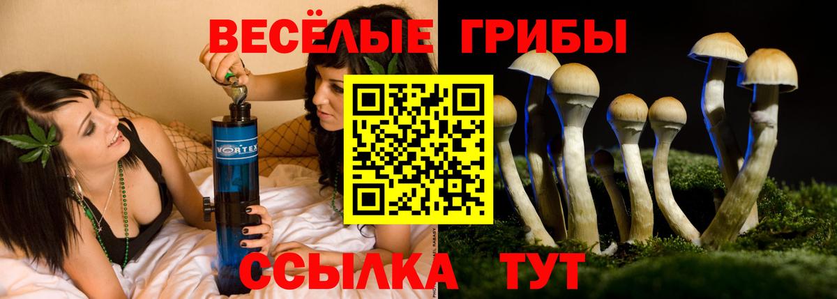 Новодвинск  Псилоцибиновые грибы Psilocybine cubensis  Вход с VPN  Псилоцибиновые грибы Psilocybe 