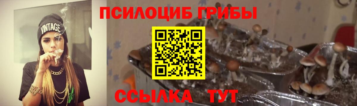 Галлюциногенные грибы мицелий Новодвинск
